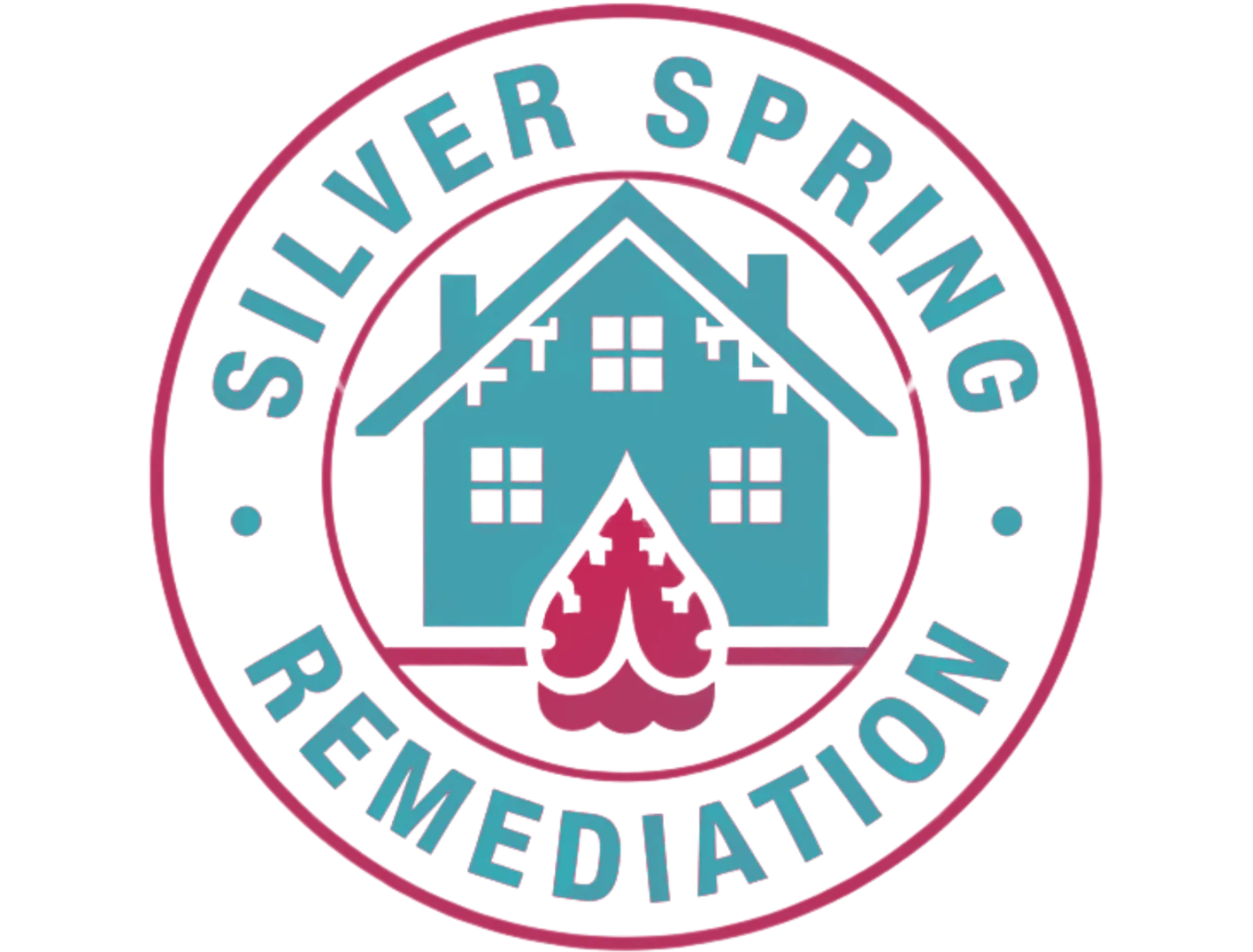 Silver Spring Remediation Logo